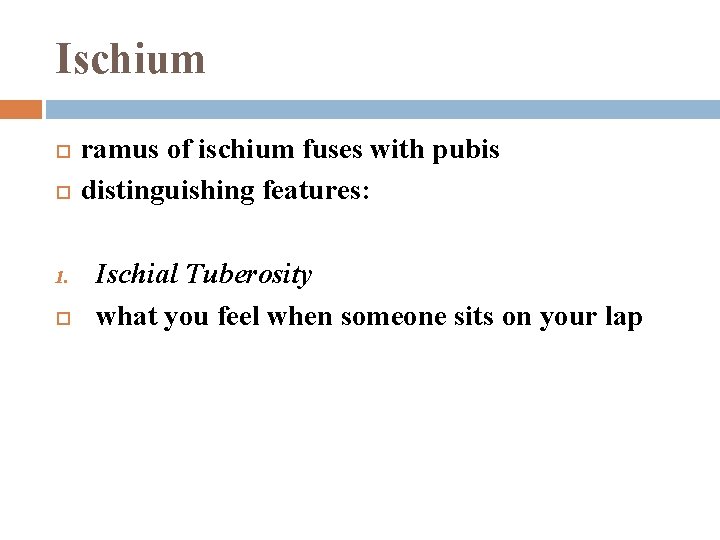 Ischium 1. ramus of ischium fuses with pubis distinguishing features: Ischial Tuberosity what you