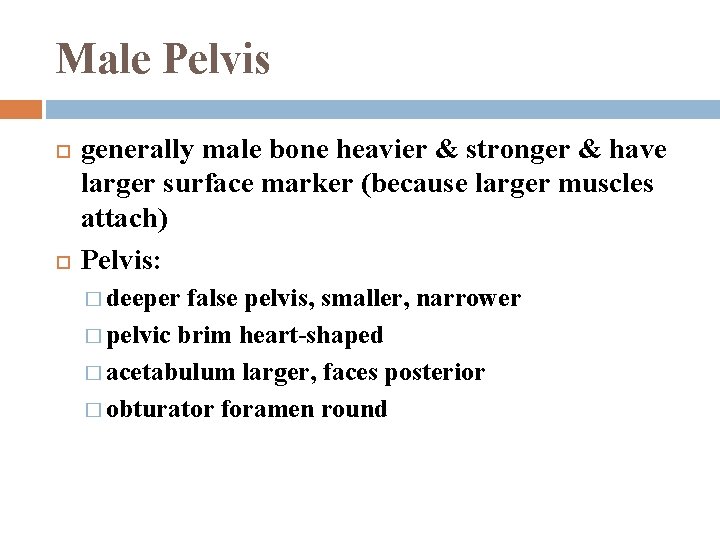 Male Pelvis generally male bone heavier & stronger & have larger surface marker (because