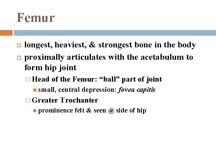 Femur longest, heaviest, & strongest bone in the body proximally articulates with the acetabulum