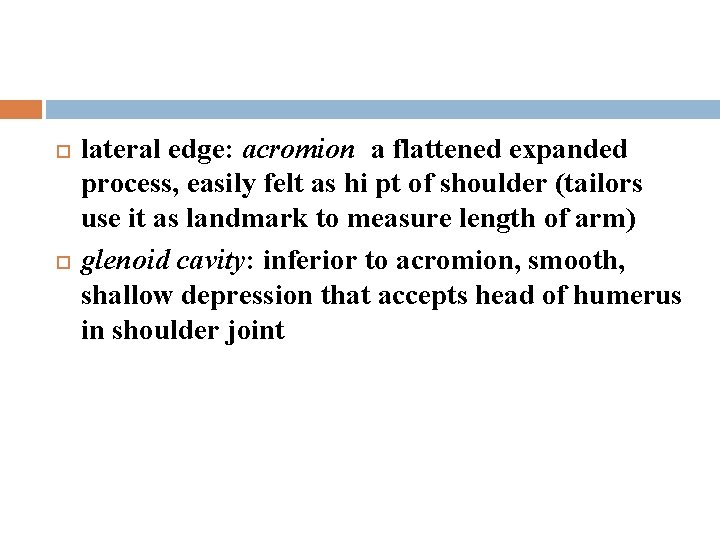  lateral edge: acromion a flattened expanded process, easily felt as hi pt of