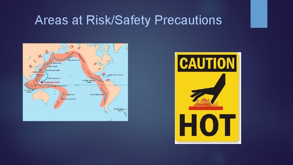 Areas at Risk/Safety Precautions 