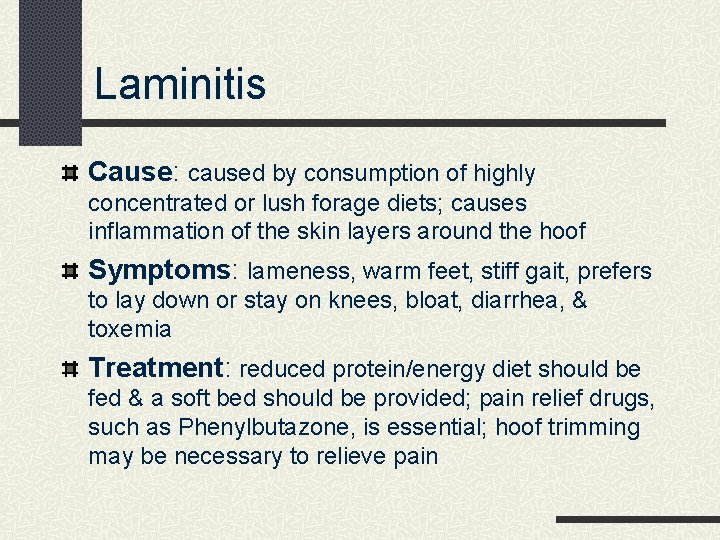 Laminitis Cause: caused by consumption of highly concentrated or lush forage diets; causes inflammation