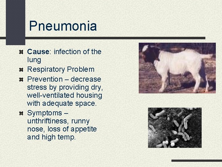 Pneumonia Cause: infection of the lung Respiratory Problem Prevention – decrease stress by providing