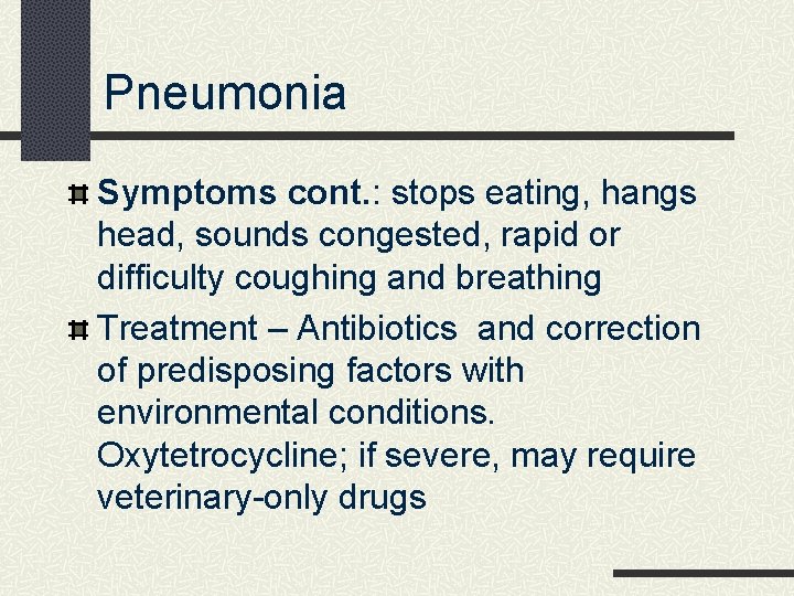 Pneumonia Symptoms cont. : stops eating, hangs head, sounds congested, rapid or difficulty coughing