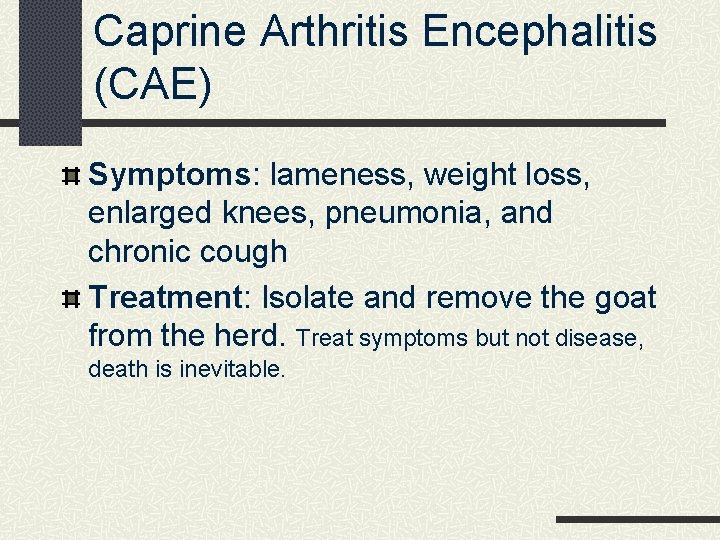 Caprine Arthritis Encephalitis (CAE) Symptoms: lameness, weight loss, enlarged knees, pneumonia, and chronic cough