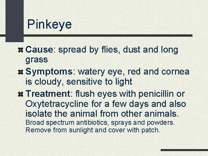 Pinkeye Cause: spread by flies, dust and long grass Symptoms: watery eye, red and