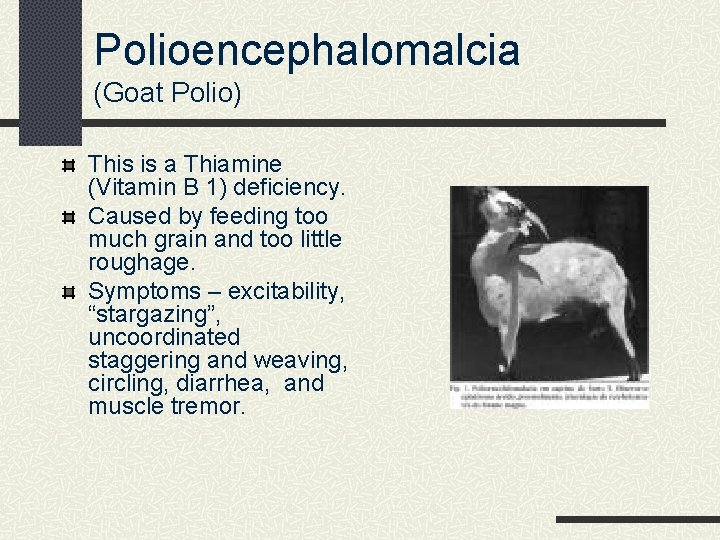 Polioencephalomalcia (Goat Polio) This is a Thiamine (Vitamin B 1) deficiency. Caused by feeding
