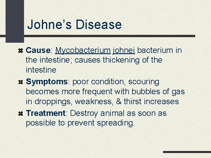Johne’s Disease Cause: Mycobacterium johnei bacterium in the intestine; causes thickening of the intestine