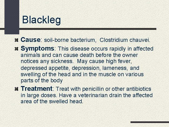 Blackleg Cause: soil-borne bacterium, Clostridium chauvei. Symptoms: This disease occurs rapidly in affected animals