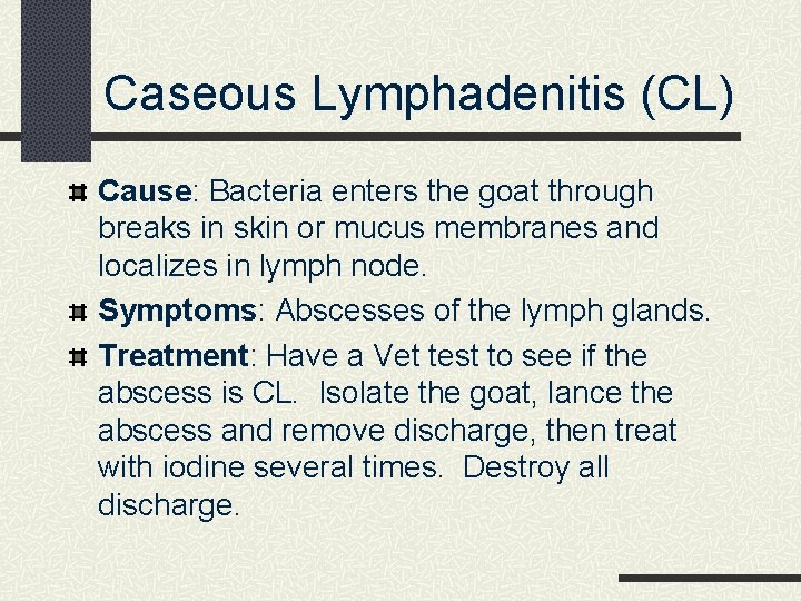Caseous Lymphadenitis (CL) Cause: Bacteria enters the goat through breaks in skin or mucus
