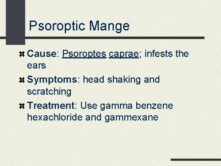 Psoroptic Mange Cause: Psoroptes caprae; infests the ears Symptoms: head shaking and scratching Treatment: