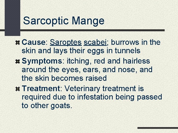 Sarcoptic Mange Cause: Saroptes scabei; burrows in the skin and lays their eggs in