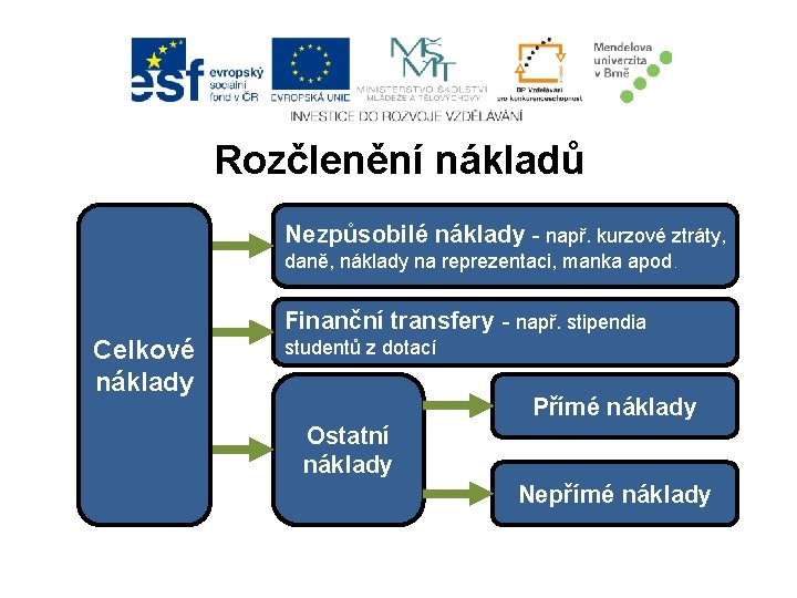 Rozčlenění nákladů Nezpůsobilé náklady - např. kurzové ztráty, daně, náklady na reprezentaci, manka apod.