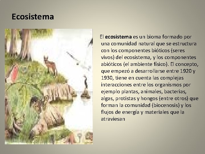 Ecosistema El ecosistema es un bioma formado por una comunidad natural que se estructura