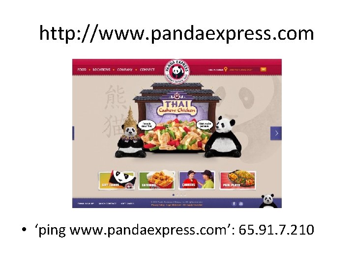 http: //www. pandaexpress. com • ‘ping www. pandaexpress. com’: 65. 91. 7. 210 