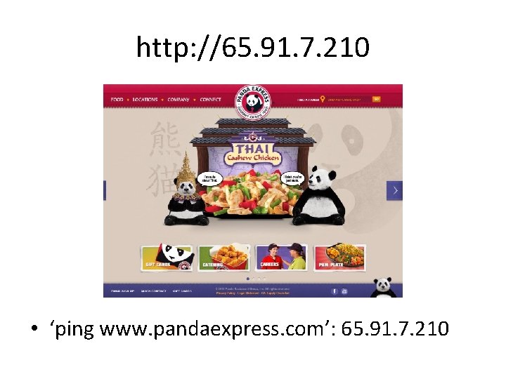 http: //65. 91. 7. 210 • ‘ping www. pandaexpress. com’: 65. 91. 7. 210