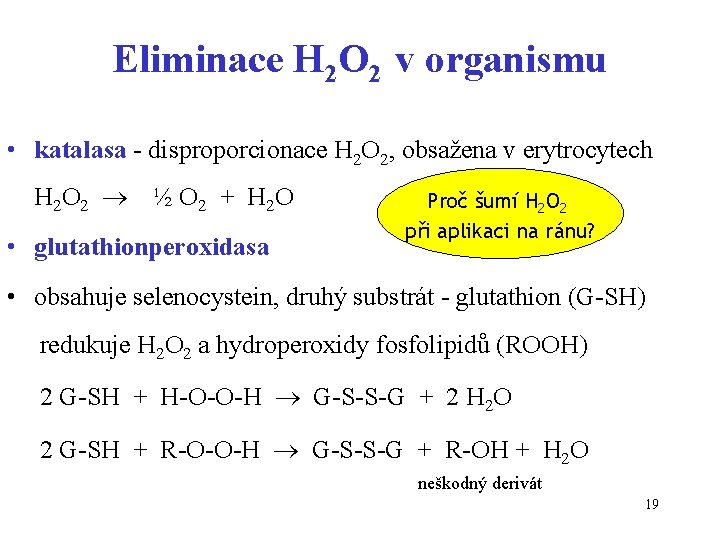 Eliminace H 2 O 2 v organismu • katalasa - disproporcionace H 2 O