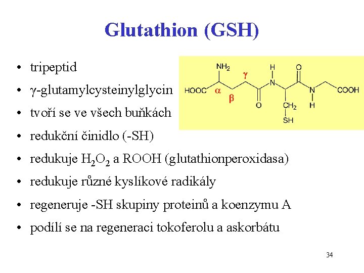 Glutathion (GSH) • tripeptid • γ-glutamylcysteinylglycin • tvoří se ve všech buňkách • redukční