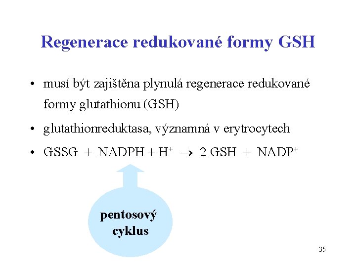 Regenerace redukované formy GSH • musí být zajištěna plynulá regenerace redukované formy glutathionu (GSH)