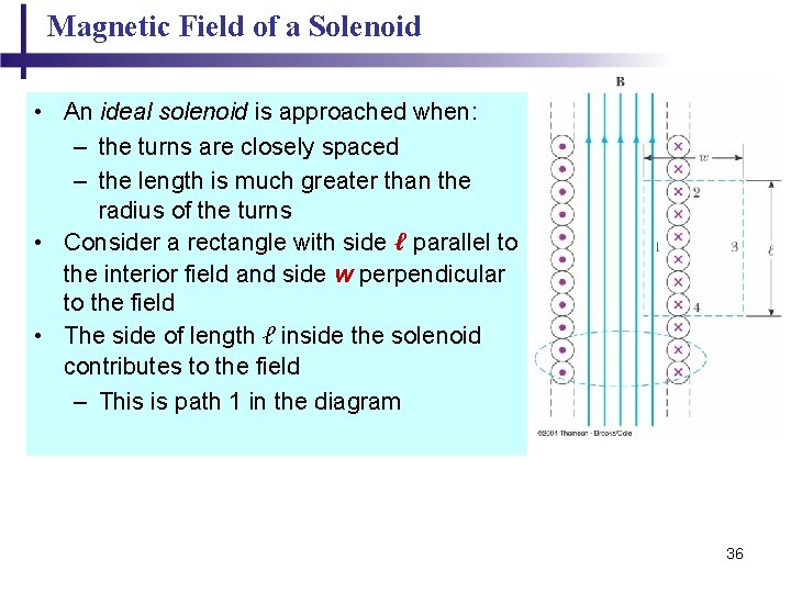 Magnetic Field of a Solenoid • An ideal solenoid is approached when: – the