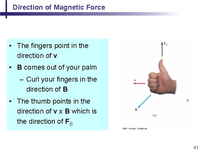 Direction of Magnetic Force • The fingers point in the direction of v •