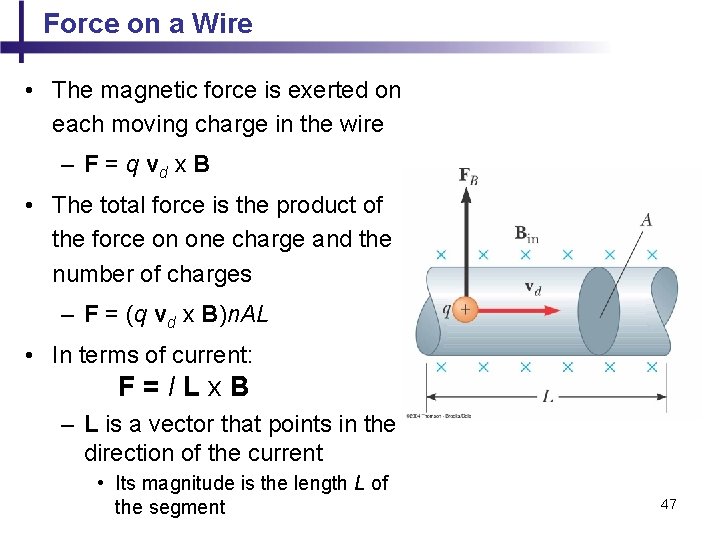 Force on a Wire • The magnetic force is exerted on each moving charge