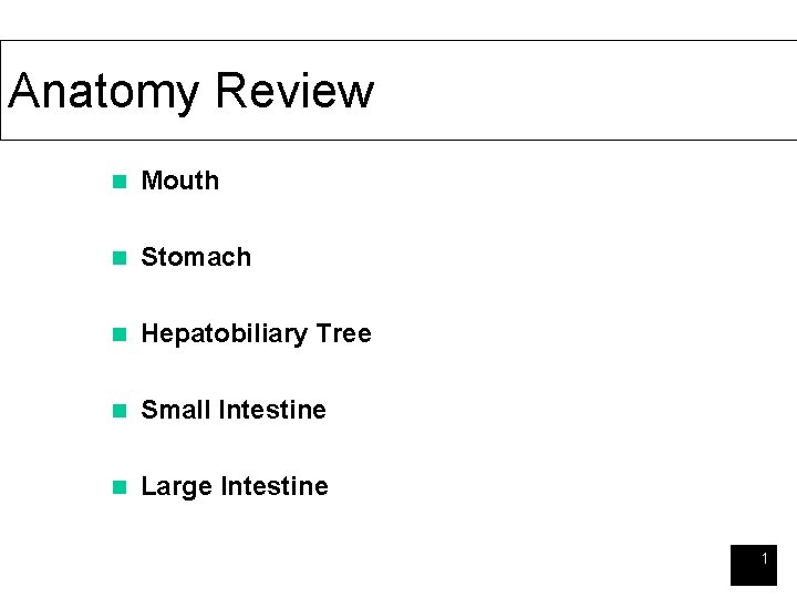 Anatomy Review n Mouth n Stomach n Hepatobiliary Tree n Small Intestine n Large