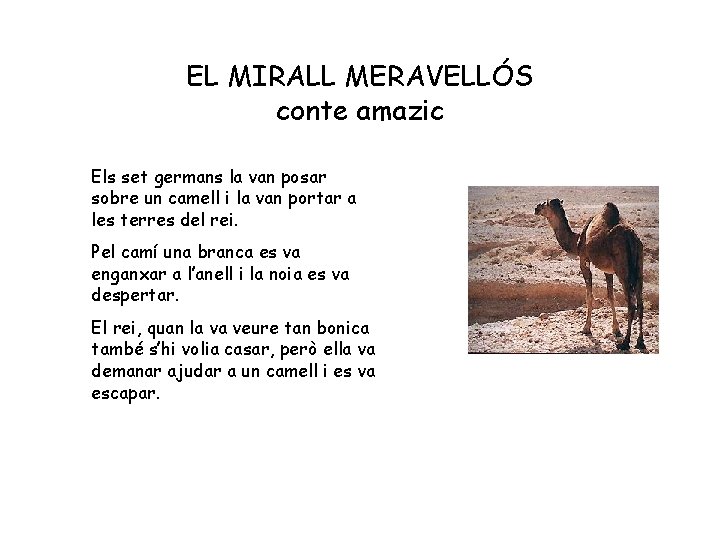 EL MIRALL MERAVELLÓS conte amazic Els set germans la van posar sobre un camell