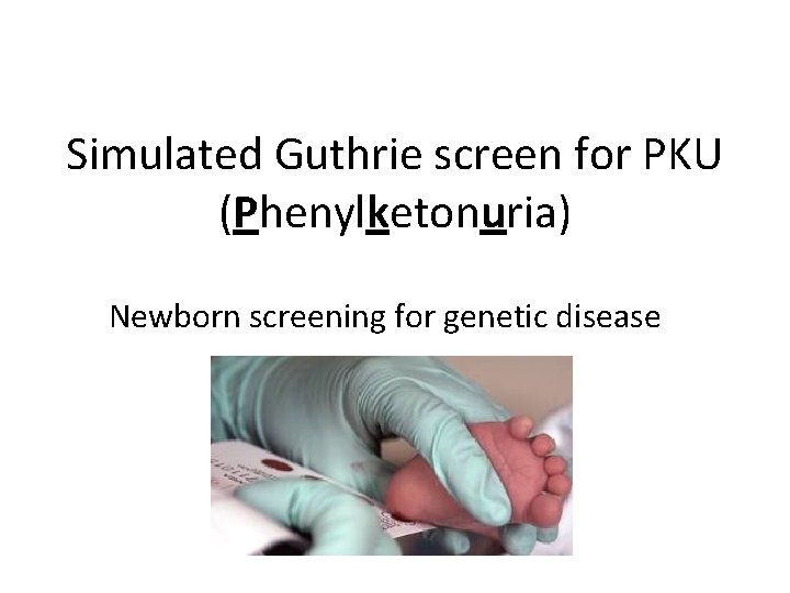 Simulated Guthrie screen for PKU (Phenylketonuria) Newborn screening for genetic disease 