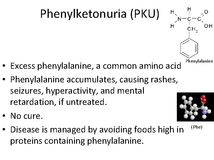 Phenylketonuria (PKU) • Excess phenylalanine, a common amino acid • Phenylalanine accumulates, causing rashes,