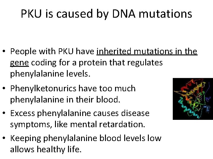 PKU is caused by DNA mutations • People with PKU have inherited mutations in