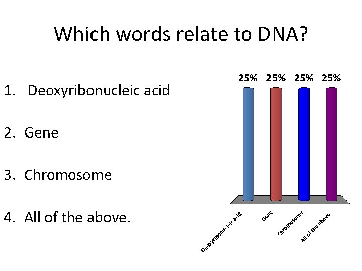 Which words relate to DNA? 1. Deoxyribonucleic acid 2. Gene 3. Chromosome 4. All