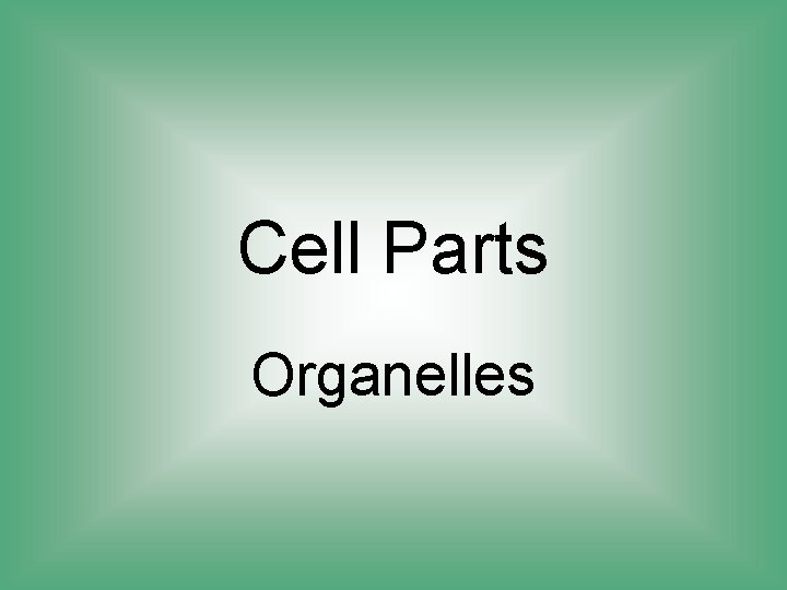 Cell Parts Organelles 