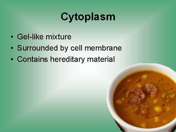 Cytoplasm • Gel-like mixture • Surrounded by cell membrane • Contains hereditary material 