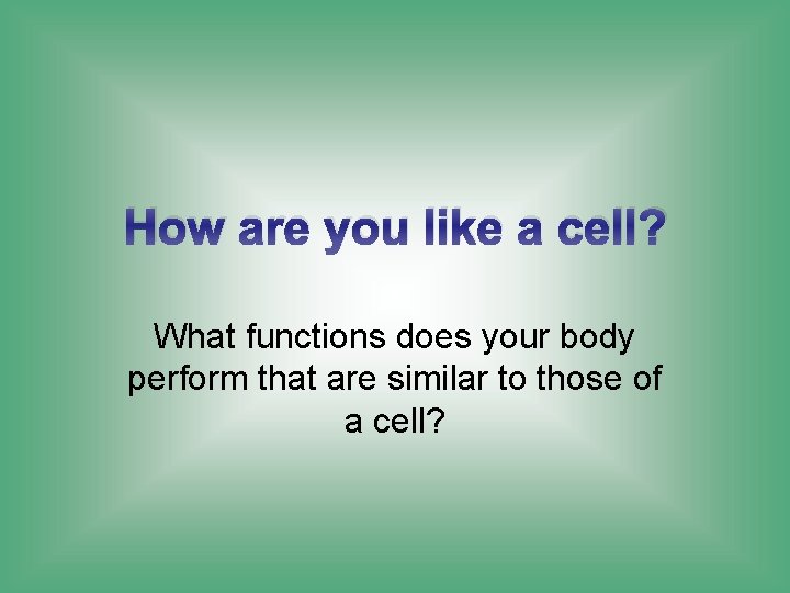 How are you like a cell? What functions does your body perform that are