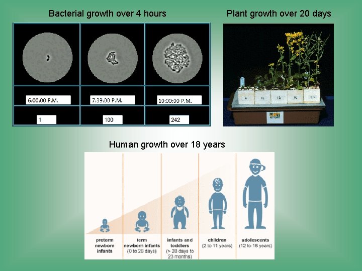 Bacterial growth over 4 hours Human growth over 18 years Plant growth over 20
