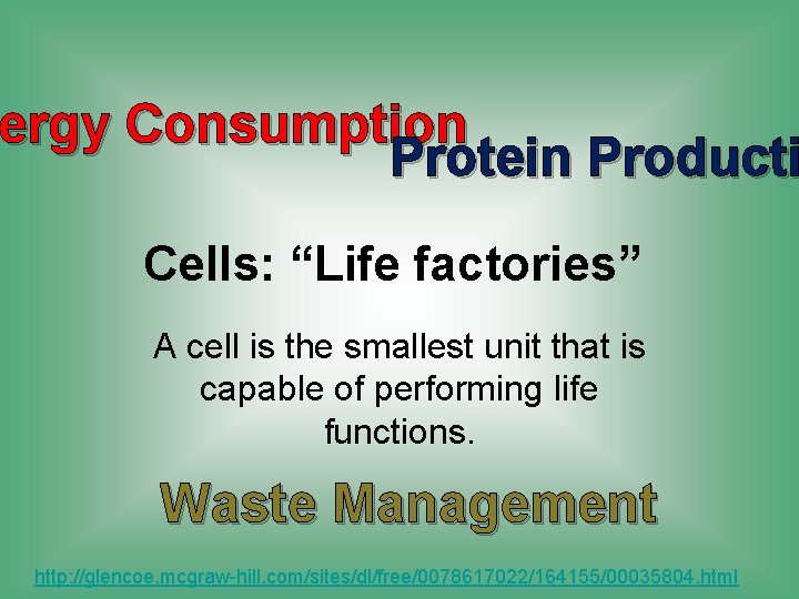 ergy Consumption Protein Producti Cells: “Life factories” A cell is the smallest unit that