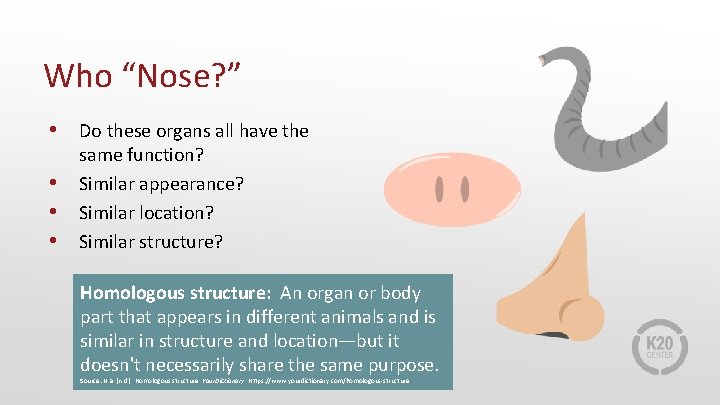 Who “Nose? ” • Do these organs all have the • • • same