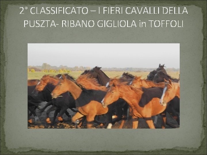 2° CLASSIFICATO – I FIERI CAVALLI DELLA PUSZTA- RIBANO GIGLIOLA in TOFFOLI 