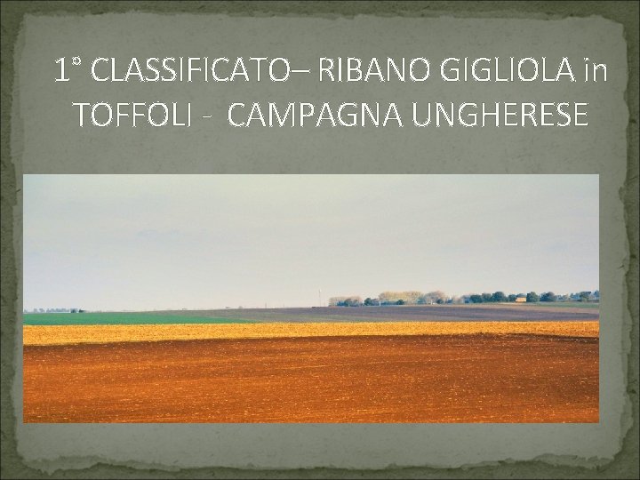 1° CLASSIFICATO– RIBANO GIGLIOLA in TOFFOLI - CAMPAGNA UNGHERESE 