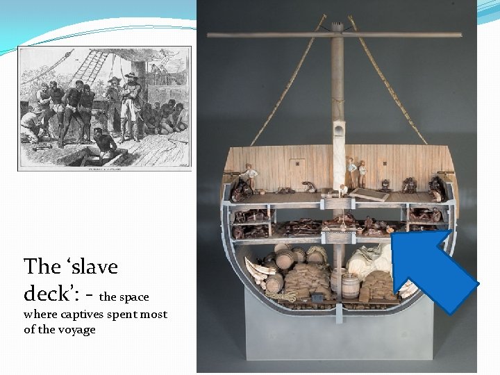 The ‘slave deck’: - the space where captives spent most of the voyage 