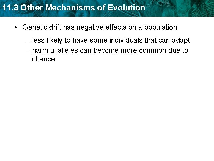 11. 3 Other Mechanisms of Evolution • Genetic drift has negative effects on a