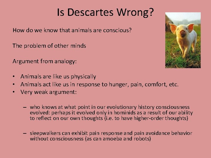 Is Descartes Wrong? How do we know that animals are conscious? The problem of Is Descartes Wrong? How do we know that animals are conscious? The problem of