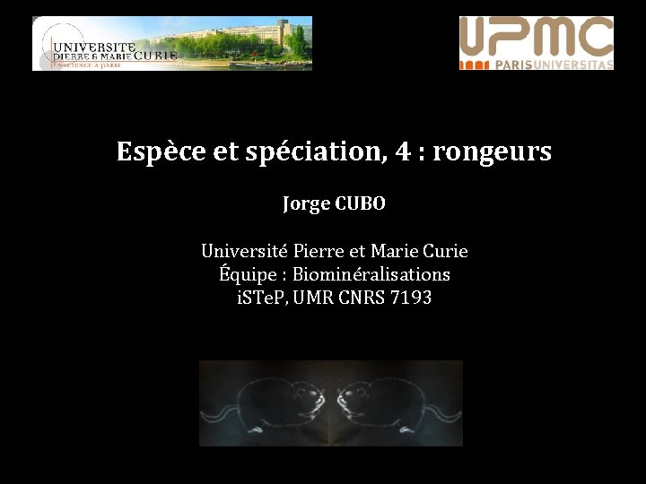Espèce et spéciation, 4 : rongeurs Jorge CUBO Université Pierre et Marie Curie Équipe