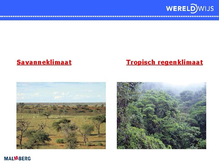 Savanneklimaat Tropisch regenklimaat 