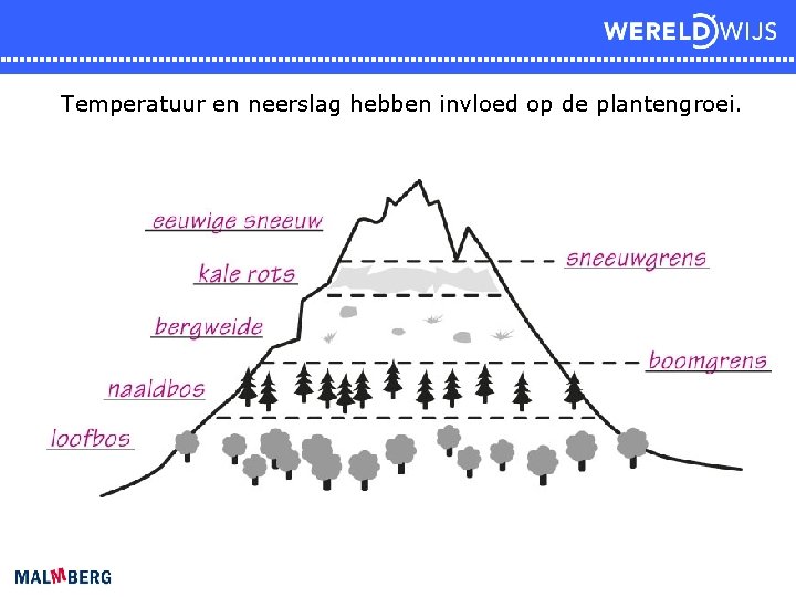 Temperatuur en neerslag hebben invloed op de plantengroei. 