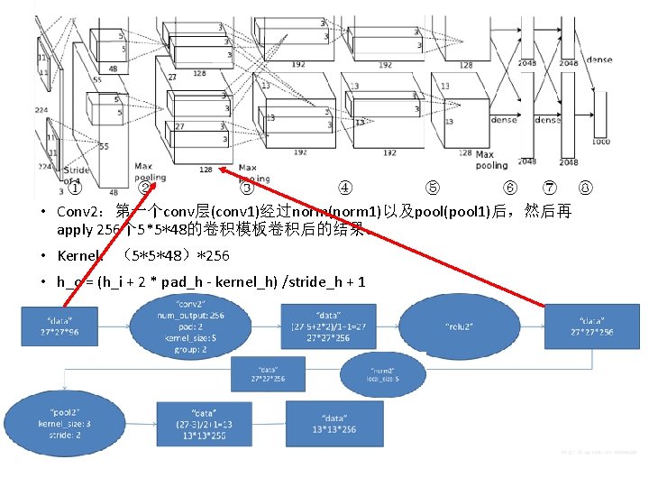  • Conv 2：第一个conv层(conv 1)经过norm(norm 1)以及pool(pool 1)后，然后再 apply 256个 5*5*48的卷积模板卷积后的结果。 • Kernel：（5*5*48）*256 • h_o