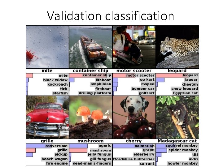 Validation classification 