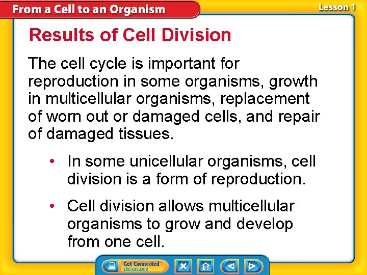 Results of Cell Division The cell cycle is important for reproduction in some organisms,