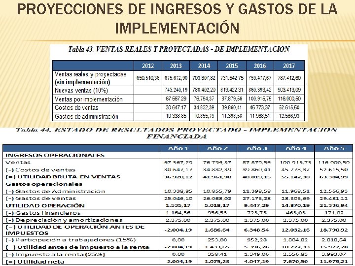 PROYECCIONES DE INGRESOS Y GASTOS DE LA IMPLEMENTACIÓN 